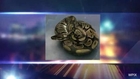 Couple Finds 3-Foot Long Python In Couch During Moving