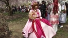 New Yorkers Celebrate Cherry Blossom Blooms