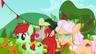 My Little Pony: La Magia de la Amistad - T3 Cap.60 - La Reunión de la Familia Apple
