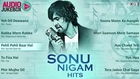 Best Sonu Nigam Hits - Audio Jukebox - Full Songs Non Stop