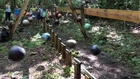 Giant Pendulum Wave Demonstration, made with 16 bowling ball