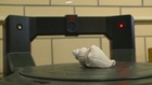 3D printers bring new life to the classroom at Iowa State University