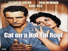 Cat on a Hot Tin Roof Full Movie