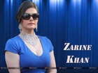 The Curvilicious Zarine Khan