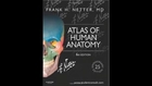 Atlas of Human Anatomy Including StudentConsult Interactive Ancillaries and Guides, 6e (Netter Basic Science) Download