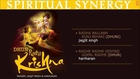 Radha Ballabh Kunj Bihari, Radhe Radhe Govind Dhun I Juke Box I Dhun Radha Krishna-Spiritual Synergy