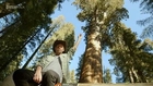 Rich Hall - California Stars Full Episode`