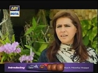 dil nahi manta Episode 12 watch online full episode LATEST ary dramas -HD- 31Jan 2015 (31-1-2015)