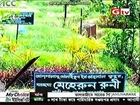 today bangla news live 11 february 2015 on gtv