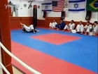 Brazilian Jiu-Jitsu vs Karate