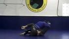 Paul Walker Brazilian Jiu-Jitsu
