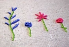 Hand Embroidery- Coil or Bullion Stitch
