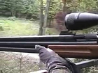 Airgun Deer Hunting