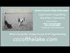 Morris County NJ Dog Day Care